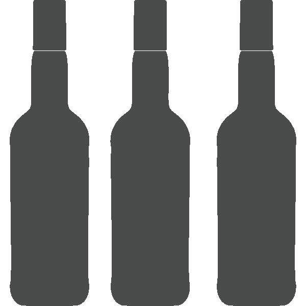 butelki – zestaw 10